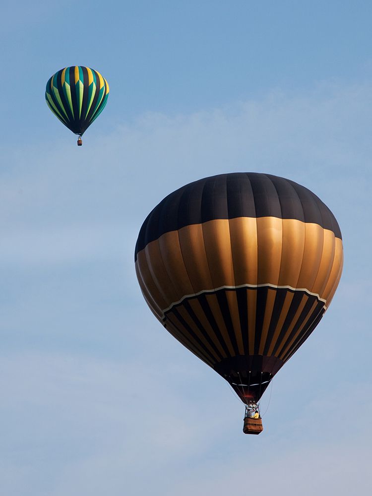 Decatur-Alabama Annual Hot Air Balloon Jubilee Festival