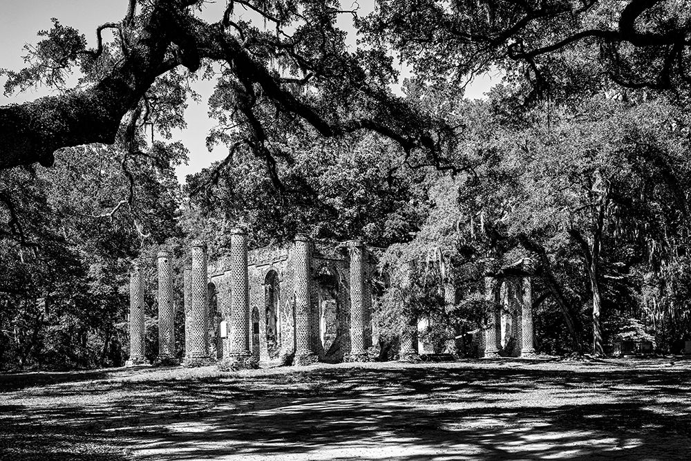 The Old Sheldon Church Ruins-South Carolina