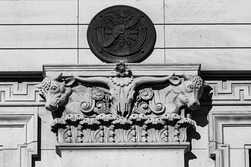 Longhorn on the US Post Office in Fort Worth-Texas