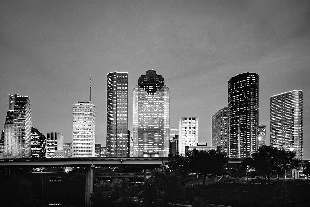 Houston-Texas Skyline I