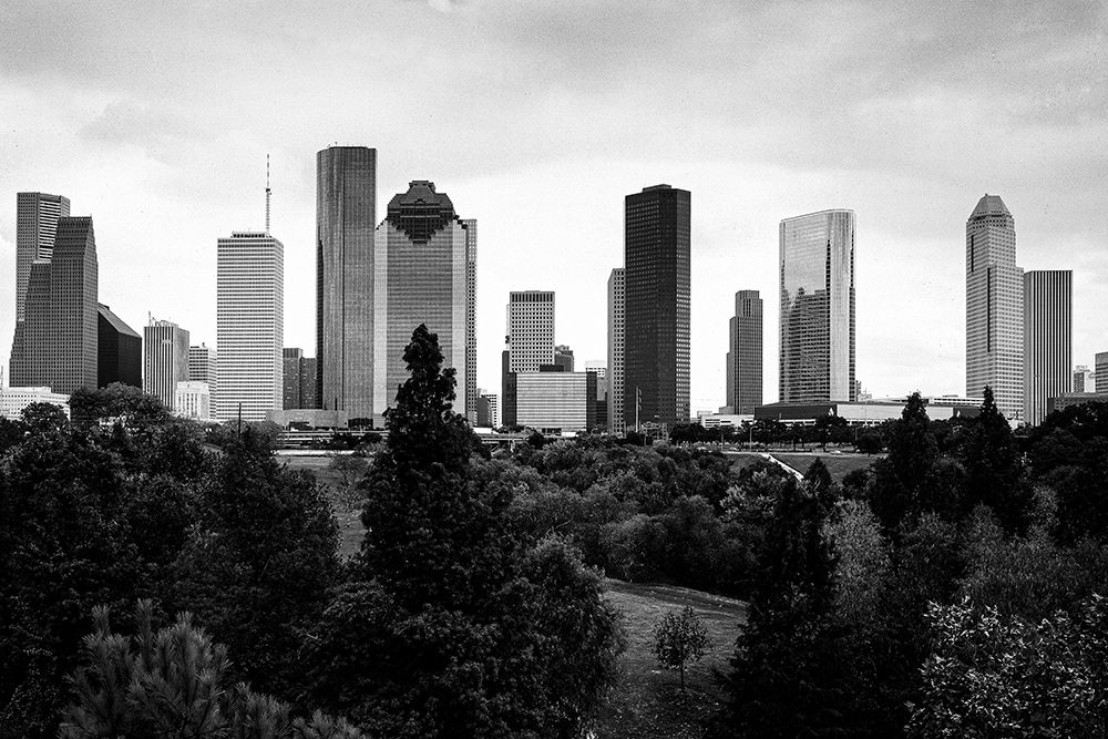Houston-Texas Skyline II