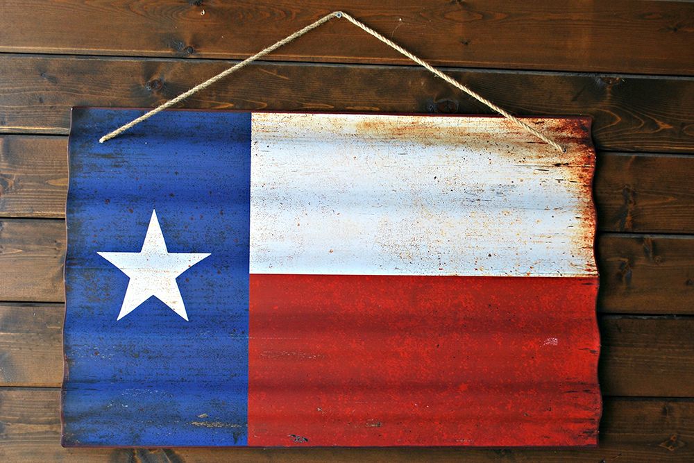 Texas State Flag