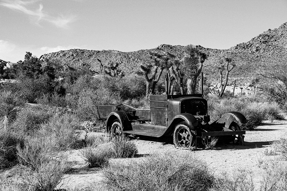 Abandoned Truck in the Desert