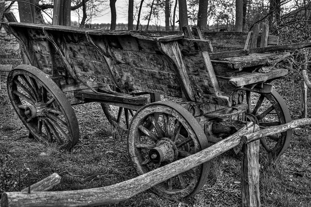 Antique Cart