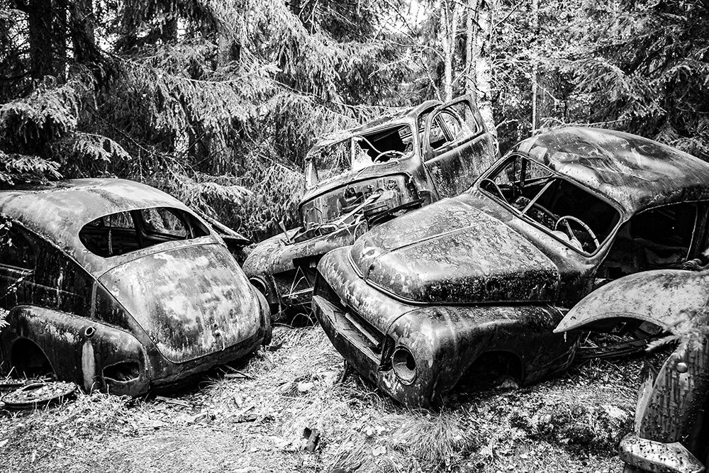 Graveyard in the Forest