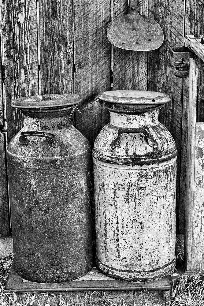 Milk Churns