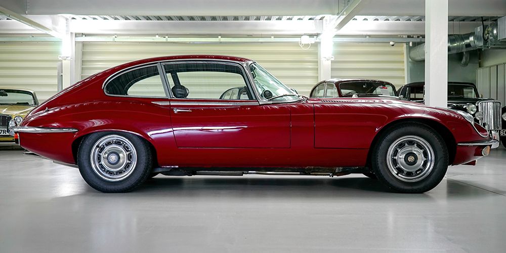 The Red Cat
