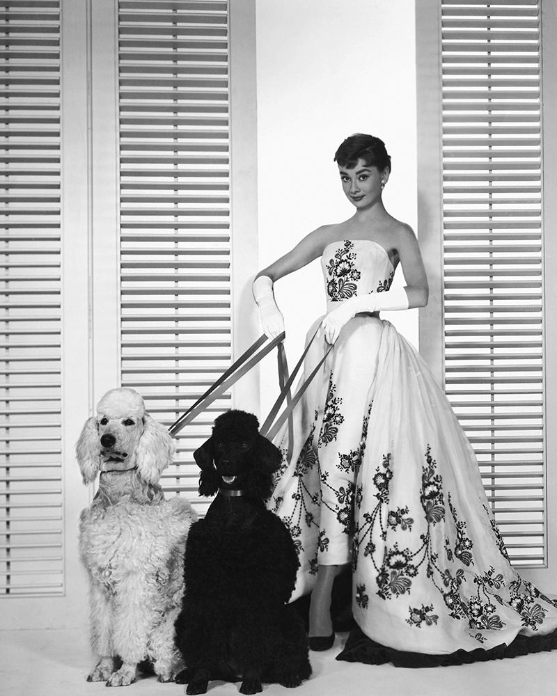 Audrey Hepburn, Sabrina, 1954