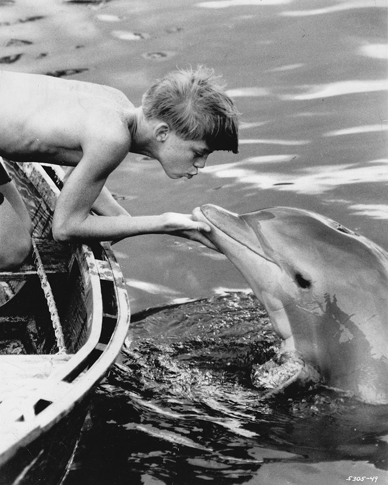 Flipper Luke Halpin, 1963