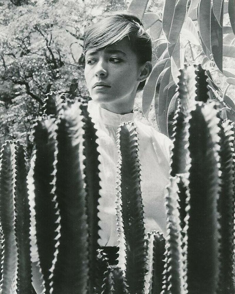 Pina Pellicer, One-Eyed Jacks, 1961