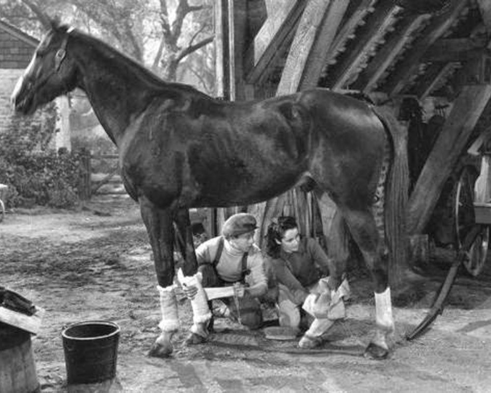 National Velvet, 1944