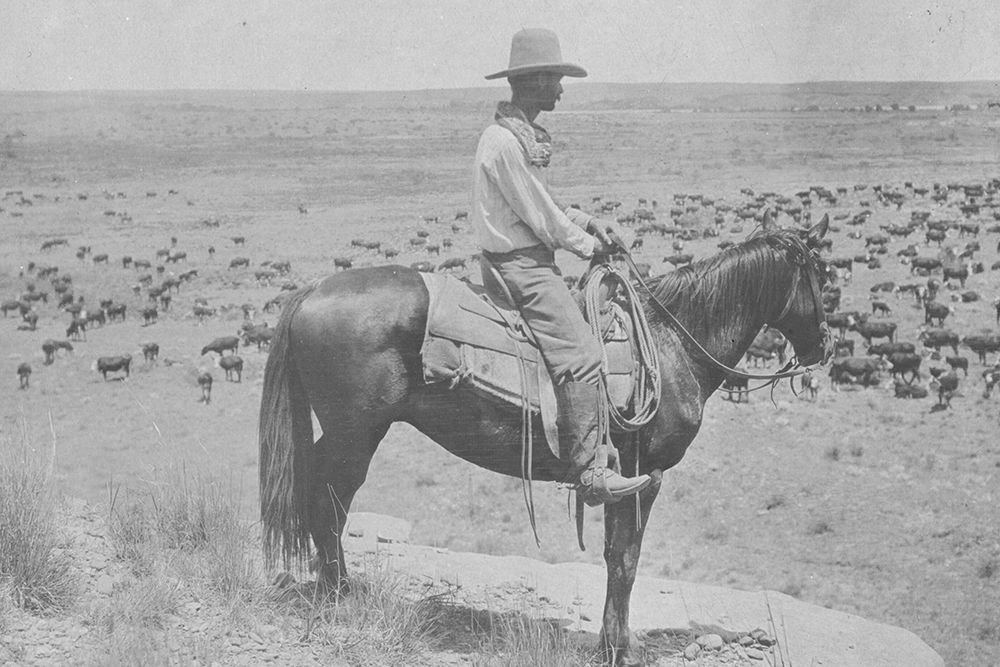 A Texas Cowboy