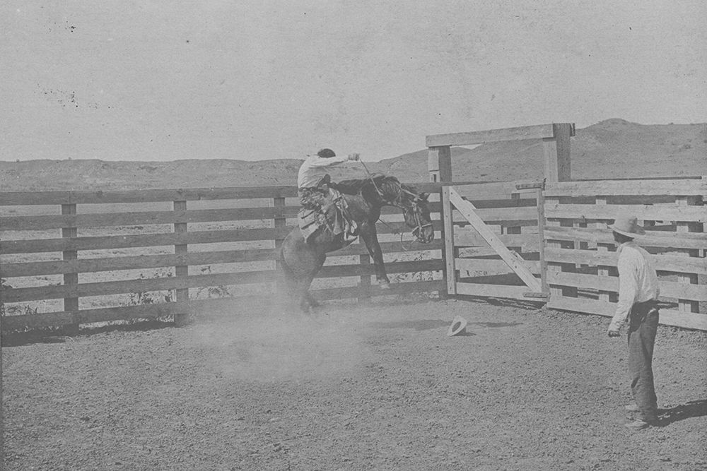 The LS Bronco Buster