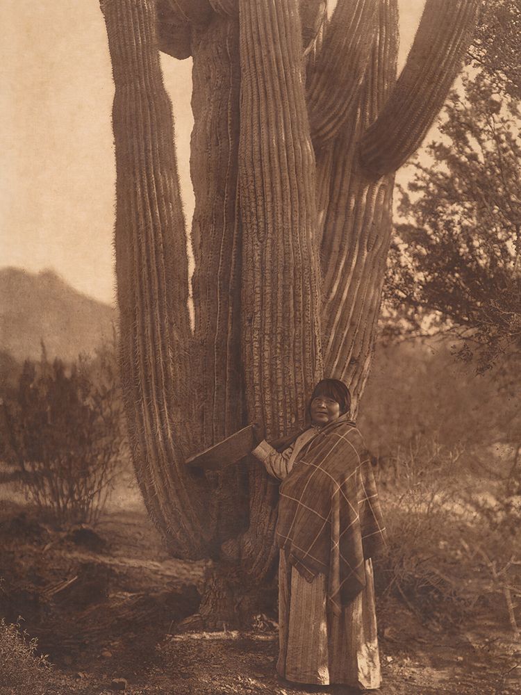 The Pima Woman 1907