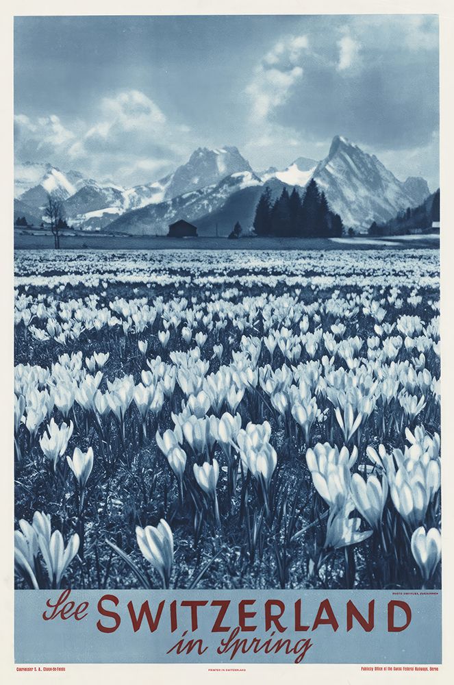 Switzerland Vintage Travel Poster