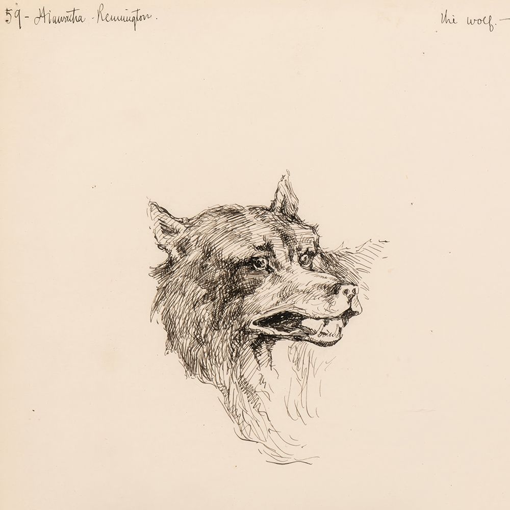 The Wolf, Illustration for The Song of Hiawatha 1889