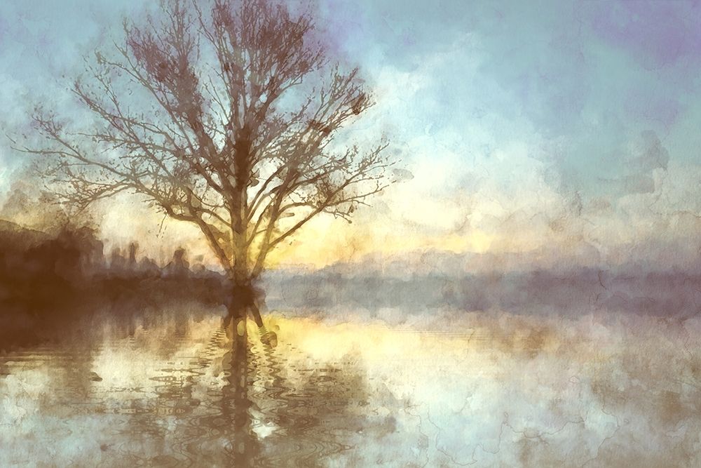 Misty Series #6