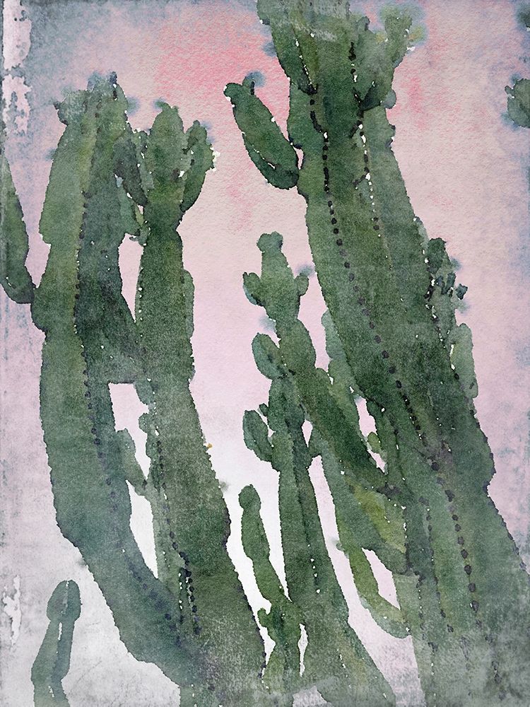Desert Cactus II