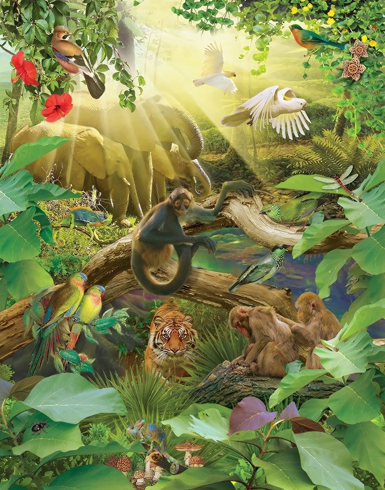 Jungle Mix I
