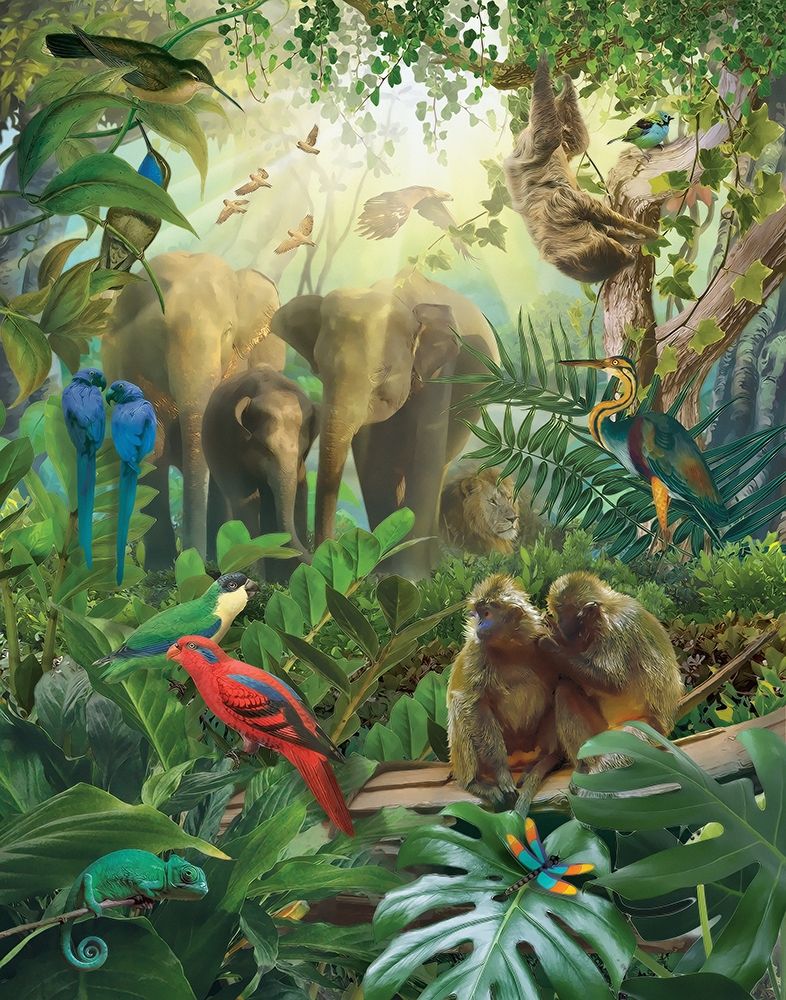 Jungle Mix II