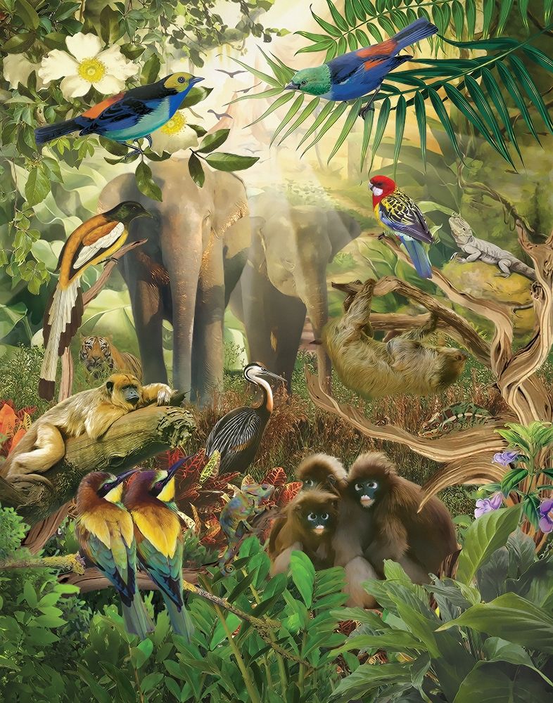 Jungle Mix IV