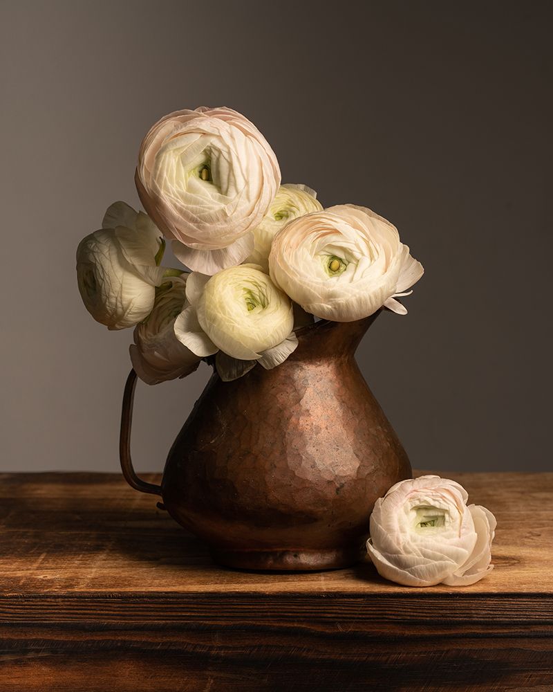 Pitcher Perfect Petals