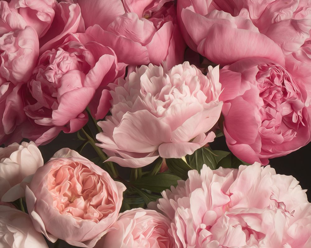 Pink Petals