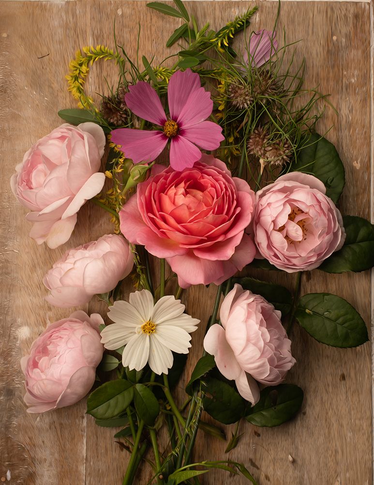 Rosy Posy I
