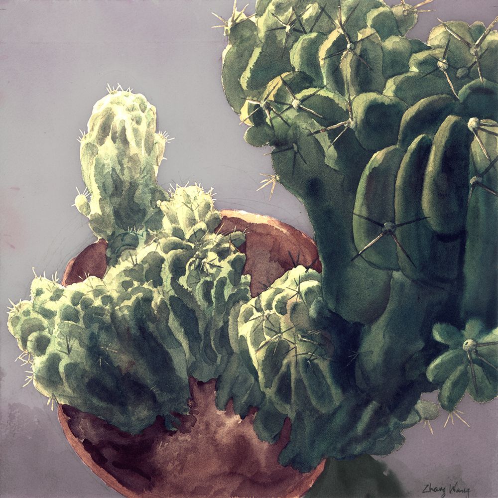 Cactus