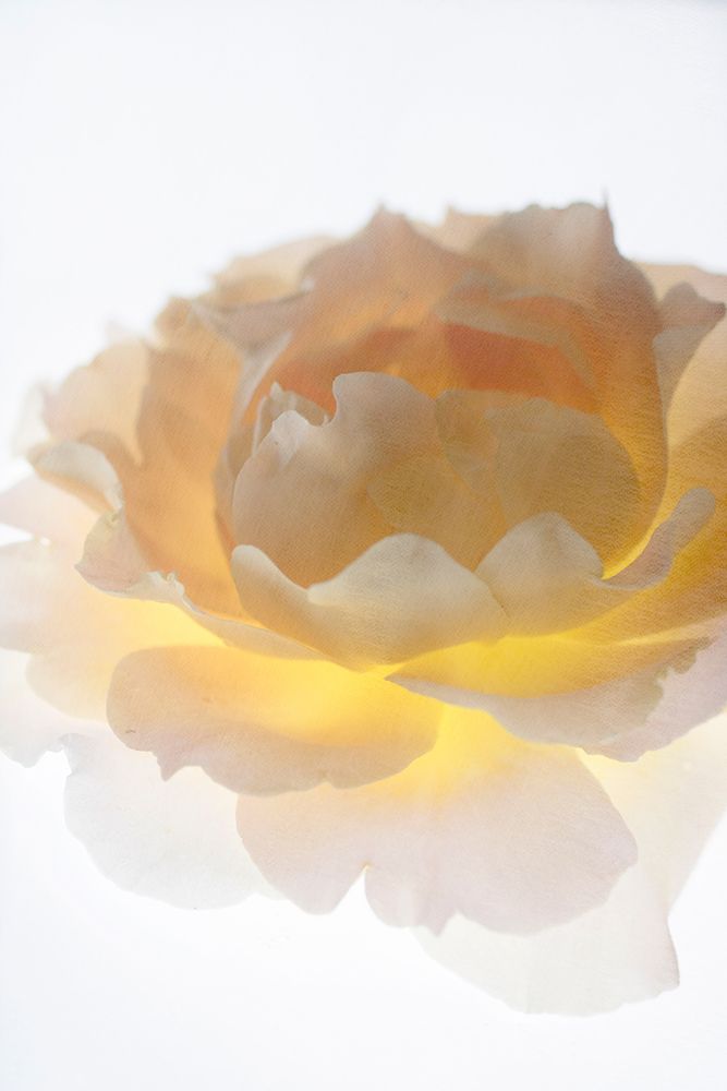 Luminance