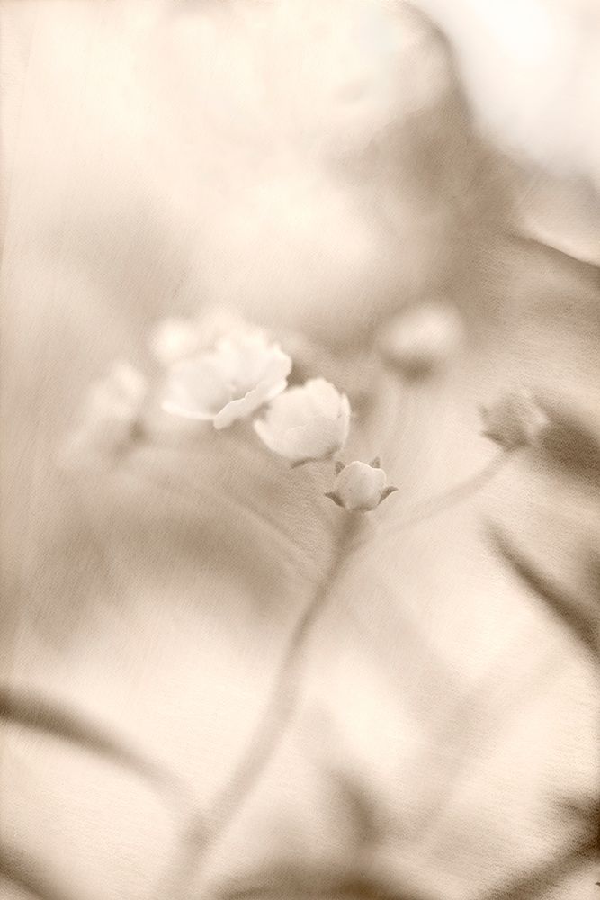Summer I