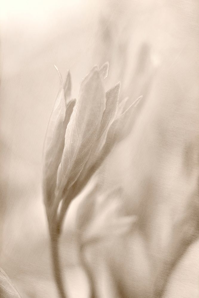 Reaching