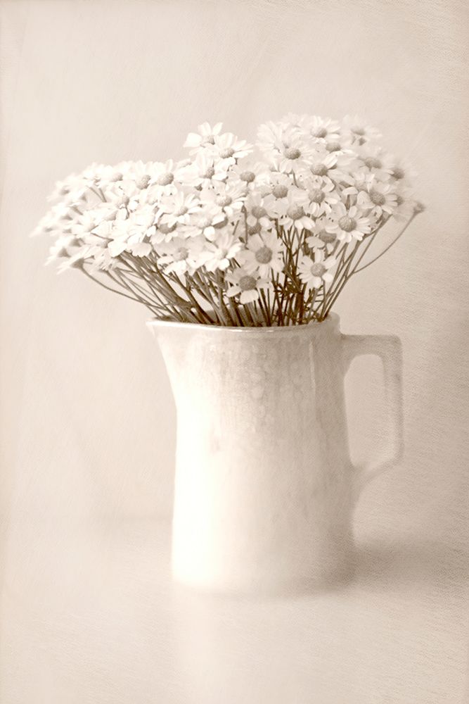 Jug of Daisies