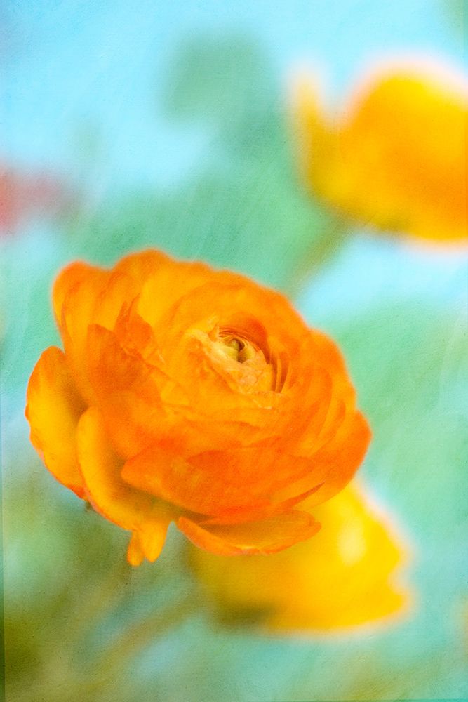 Bright