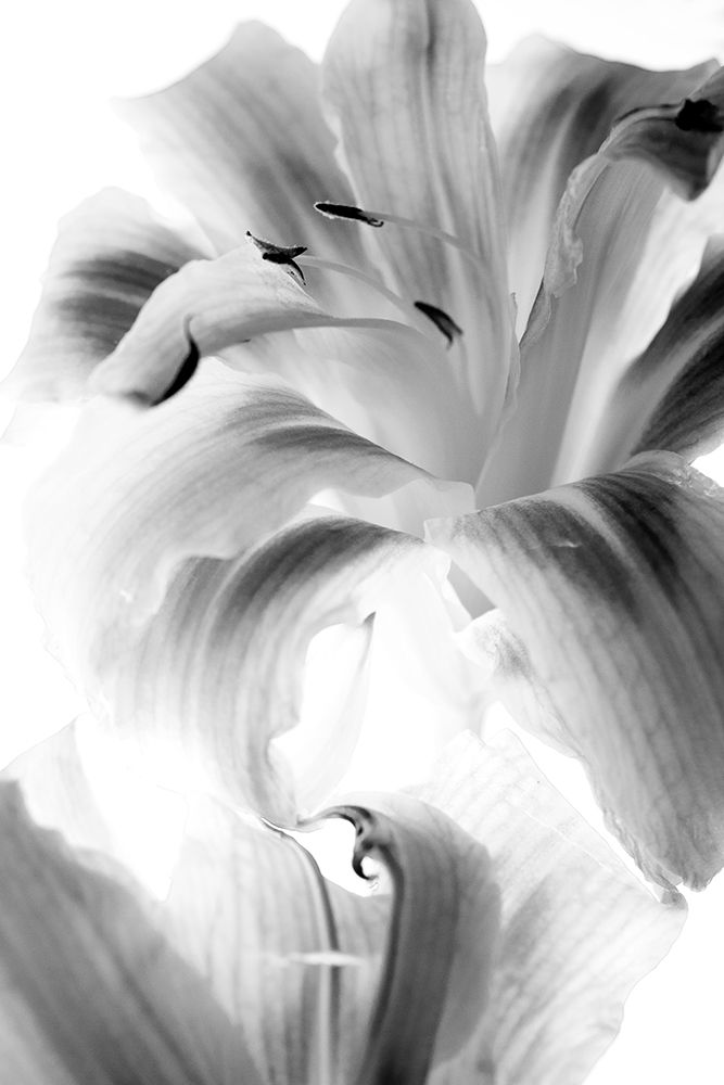 Burst