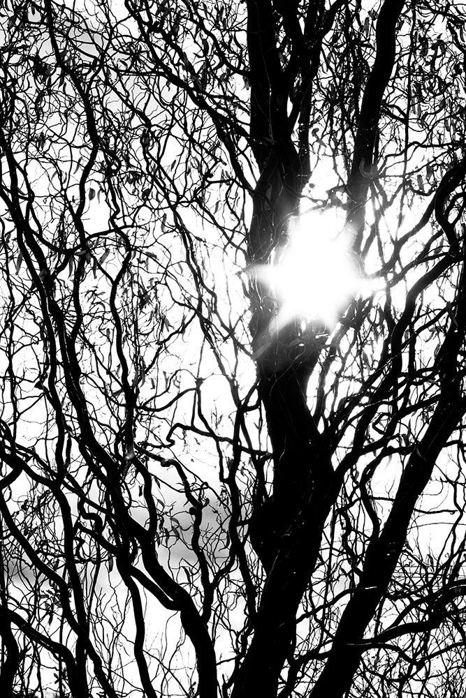 Break Through