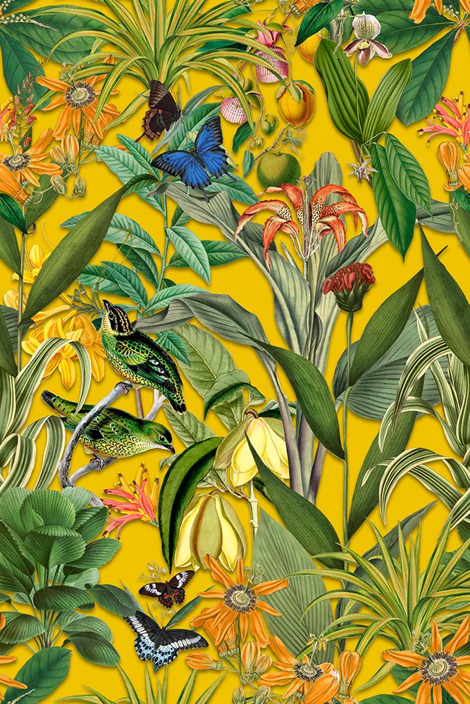 The Jungle of the Birds