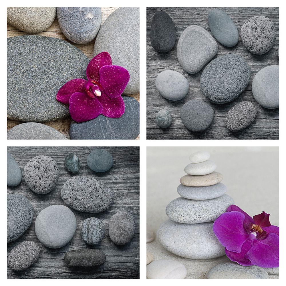 Zen Orchid Collage