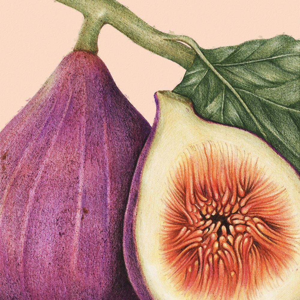 JuiceyFruit I