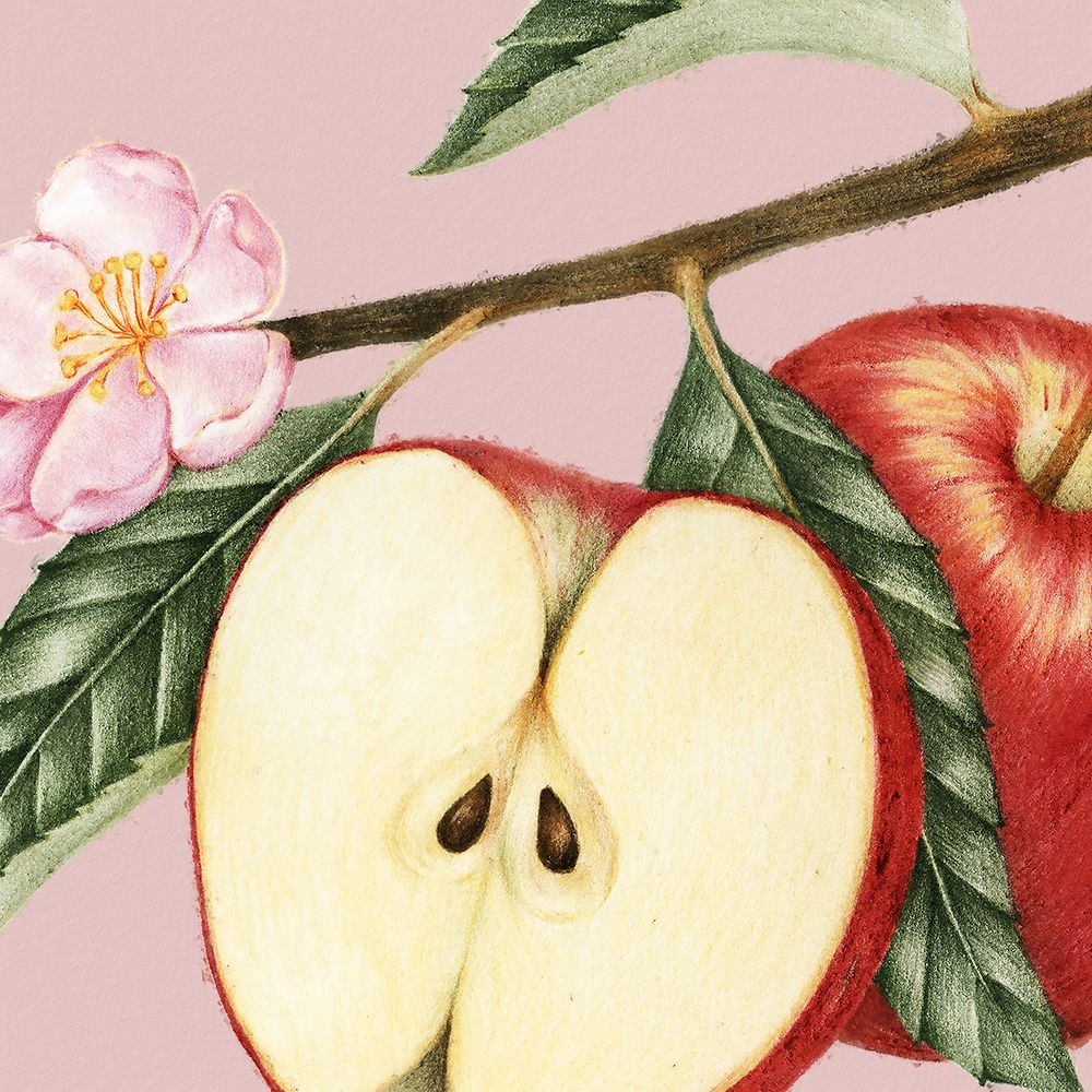 JuiceyFruit IV
