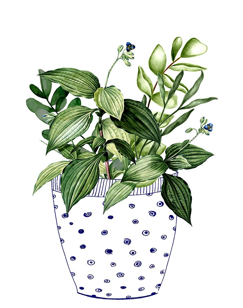 In the Pot I