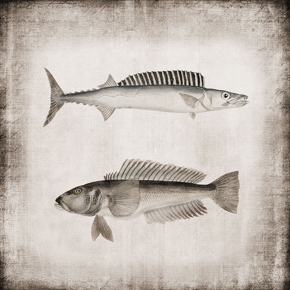Vintage Sea Dwellers I