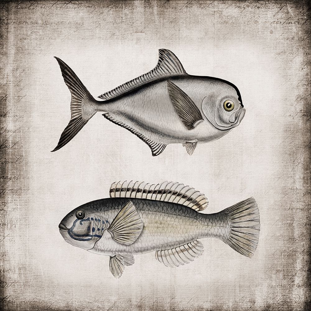 Vintage Sea Dwellers II