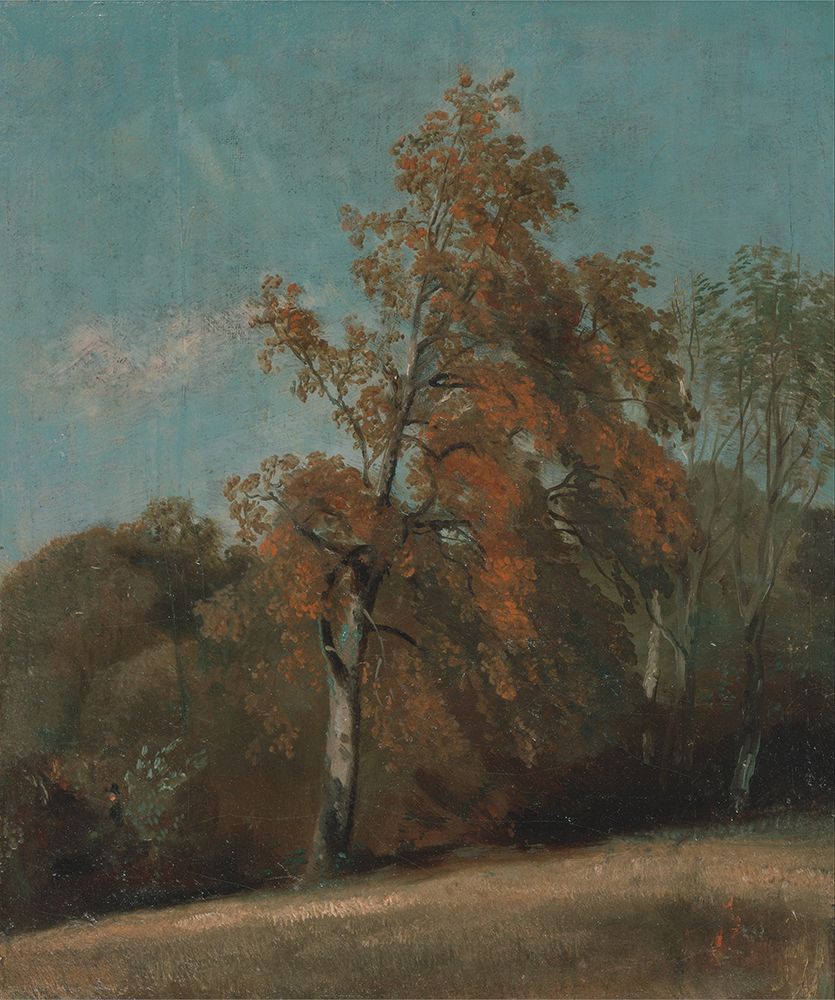 Study of an Ash Tree 1801