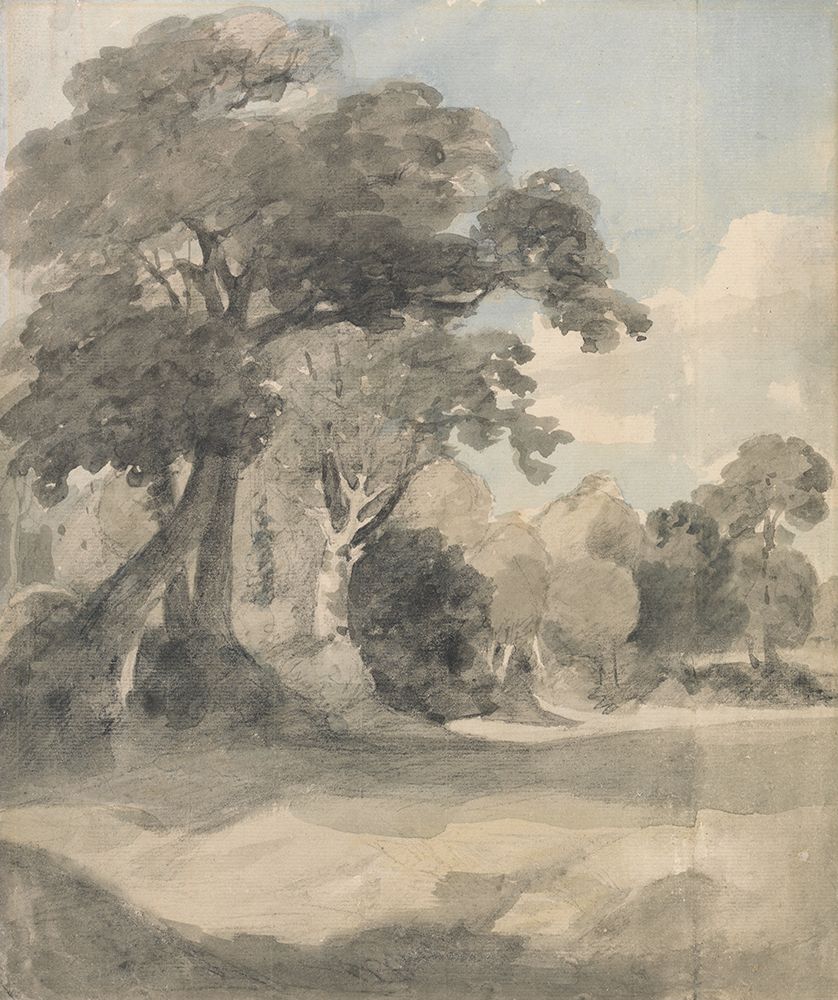 Trees in a Meadow ca 1805