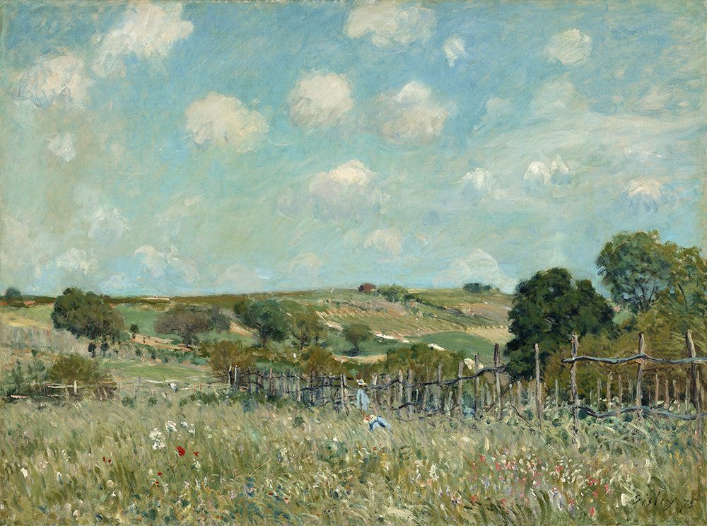 Meadow (1875)