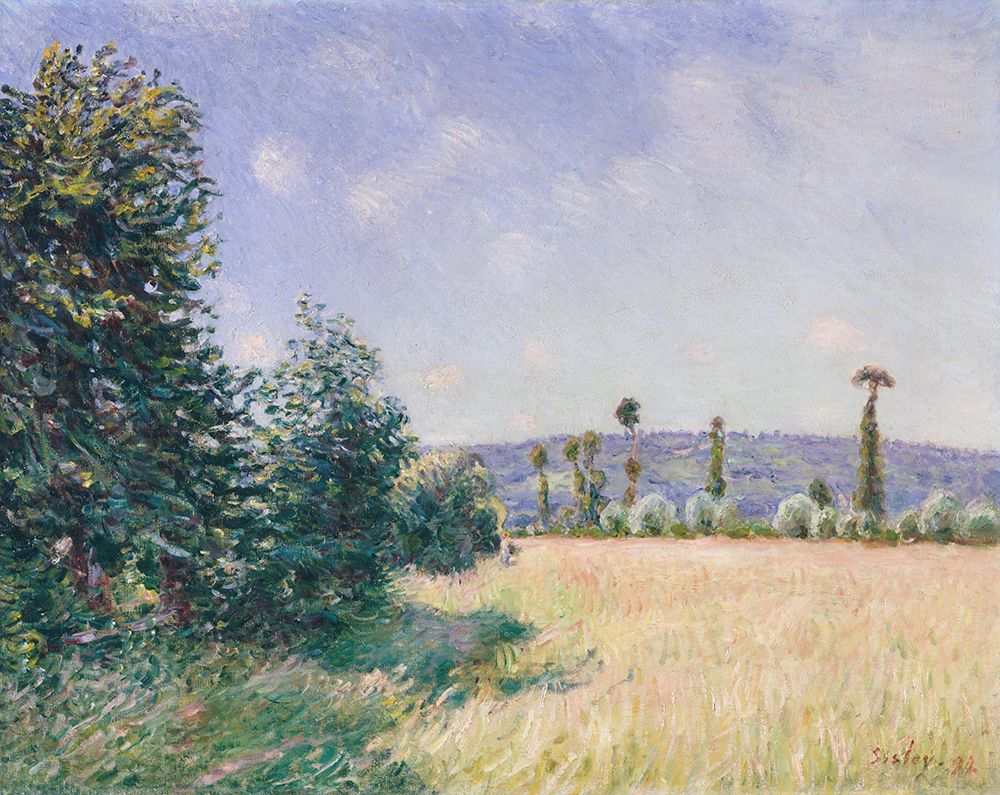 Sahurs Meadows in Morning Sun 1894