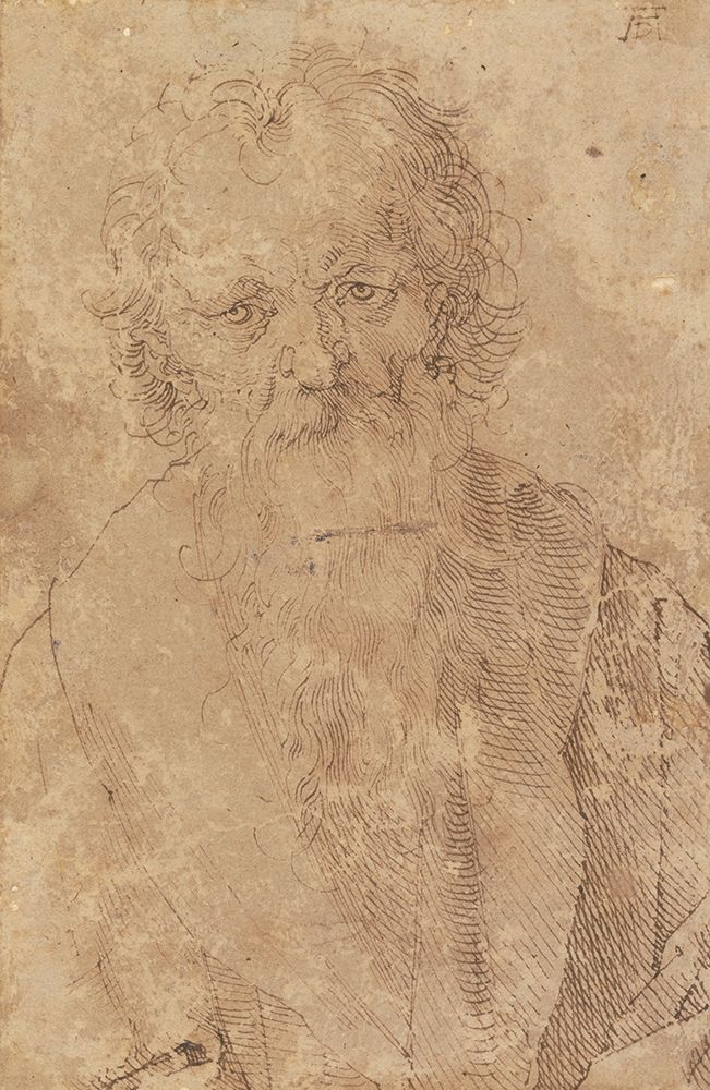 Bearded Old Man ca 1520