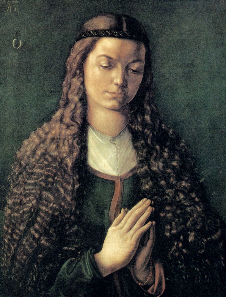 Potrait of a Young Furleger with Loose Hair ca 1497