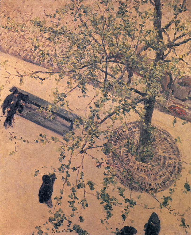 Boulevard Seen from Above 1880